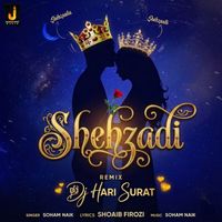 Soham Naik - Shehzadi (Remix)