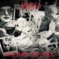 Bird - Strange As Folk