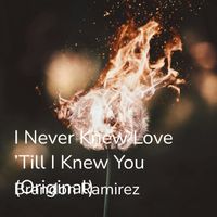 Brandon Ramirez - I Never Knew Love 'Till I Knew You (Original)