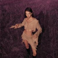 sunny - midnight sun