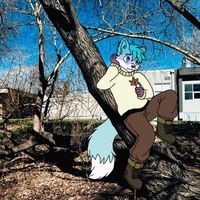 flareinthesky! - Wildcard