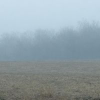 GaRY - Pace (Explicit)