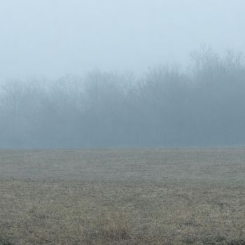 GaRY - Pace (Explicit)