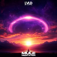Mule - Meditation
