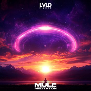 Mule - Meditation