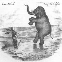 Cass McCombs - Seeing The Elephant