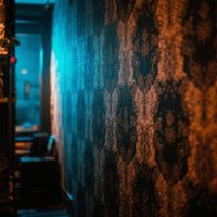 Downfall - Ashes of my memory