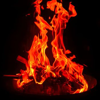 RAYNER TARIN CAMPS - Cafe Sor