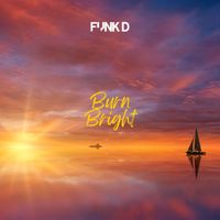 Funk D - Burn Bright