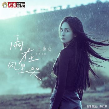 王奕心 - 雨在風裡哭