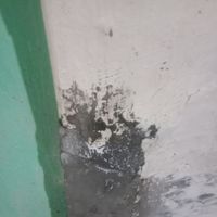 Yulia - Kesempatan yang selalu hangus