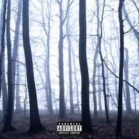 san - sum real (Explicit)