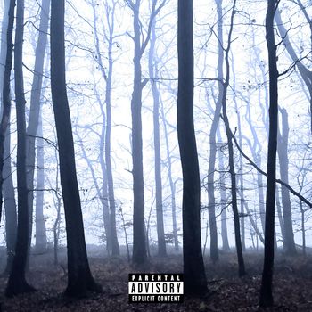 san - sum real (Explicit)