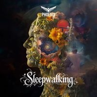 Phoenix - Sleepwalking