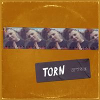 Wyse - Torn