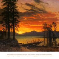 Walter Rinaldi - Beethoven: Moonlight Sonata and For Elise - Mozart: Turkish March and Sonata Facile - Pachelbel: Canon in D Major - Mendelssohn: Wedding March - J.S. Bach: Prelude No. 1 - Liszt: Love Dream, La Campanella and Tarantella - Ave Maria (2026 Remaster)