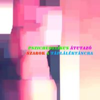 Pszichedelikus Átutazó - SZarok A Tápláléktáncra {DANCFHA} (Explicit)