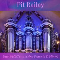 Pit Bailay - Nice Walk (Toccata and Fugue in D Minor)