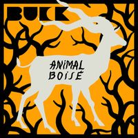Buck - Animal boisé