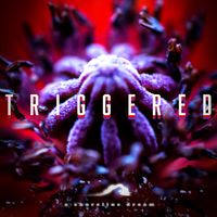 A Shoreline Dream - Triggered