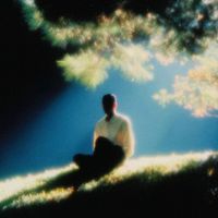 lume - forest between thoughts