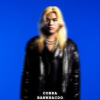 COBRA - BẢN NHẠC ĐÓ