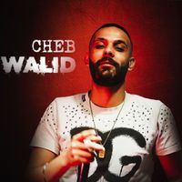 Cheb Walid - galbi Darli Linear (Explicit)