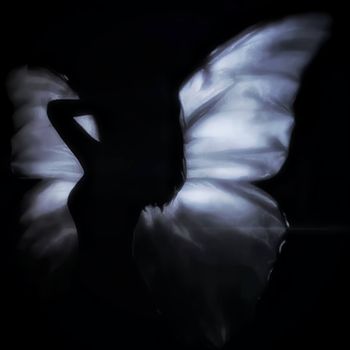 nw2b - scars on my wrists