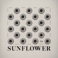 324 - Sunflower
