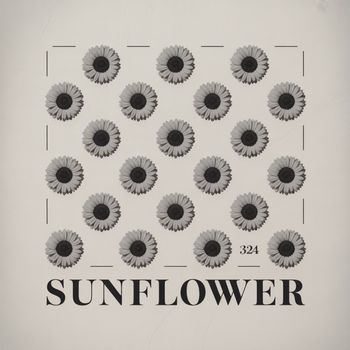 324 - Sunflower