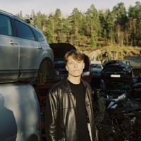 Zimmermann - Riper i lakken