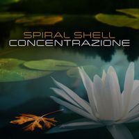 Spiral Shell - Concentrazione