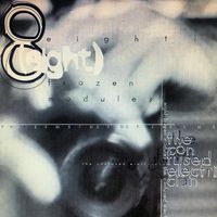 Eight Frozen Modules - The Confused Electrician