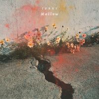 Terry - Mellow