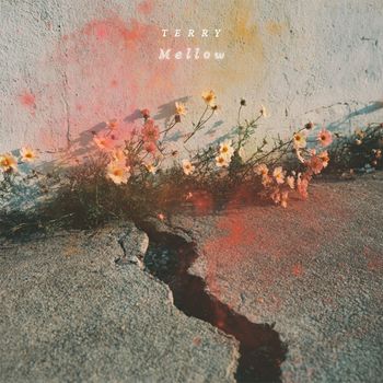 Terry - Mellow