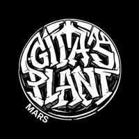 Mars - Gita's Plant