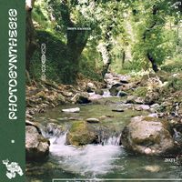 Drips Zacheer - Photosynthesis