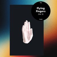 Flying Fingers - Flying Fingers - Top Tracks (Vol. 2)