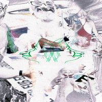 LAWN CHAIR - The New Low