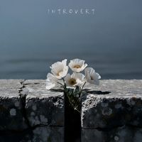 IntroVert - Цветок, так я тебя называю