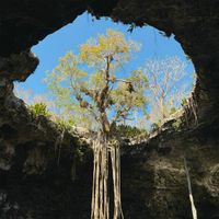 Wayward - Eyes Turn Blue