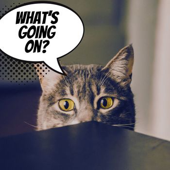 Samira - What’s Going On?