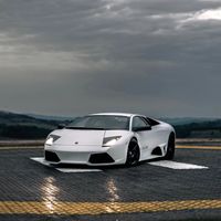 Aran - White Lamborghini