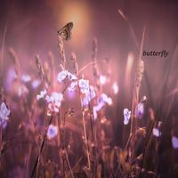 frei - butterfly
