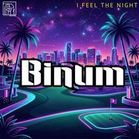 Binum - I Feel The Night