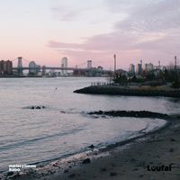 RUIDO - martes y jueves