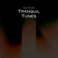 Rhys Gwydir - Tranquil Tunes