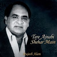 Mujeeb Alam - Tere Ajnabi Shehar Main
