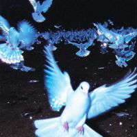 Phace - FLIRT (Explicit)