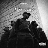 Rvzmo - Rose ou bleu (Explicit)